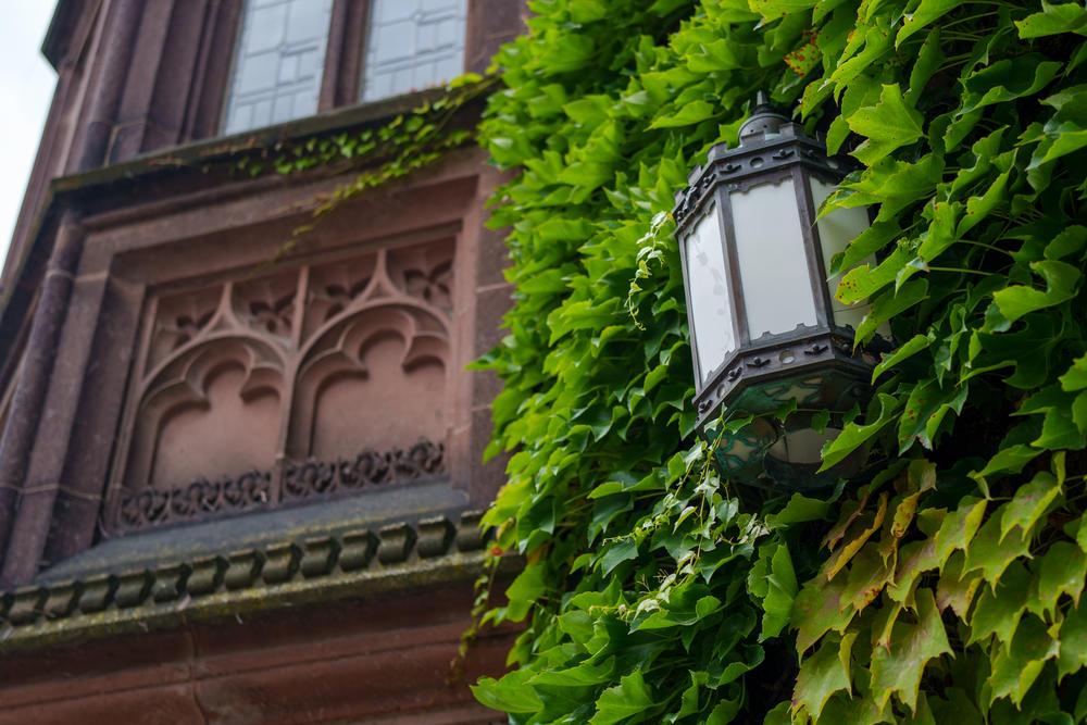 East Pyne Hall with vines and lantern