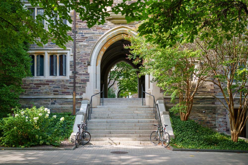 Hamilton_Steps