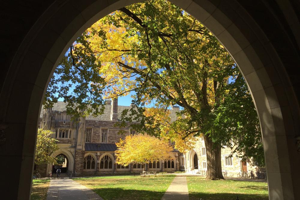 Holder Arch_trees